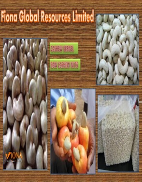 Raw Cashew Nuts | Best Quality Raw Cashew Nuts