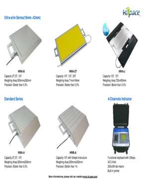 The Hottest Portable Axle Wheel Load Digitla Scale