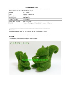 Artificial Grass Toy