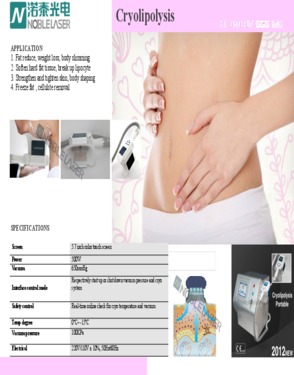 Cryo Slimming Machine (Cryolipolysis 4 Handles)