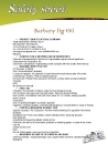 Bio Prickly Pear Seed Oil