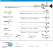 cystoscope and accessories