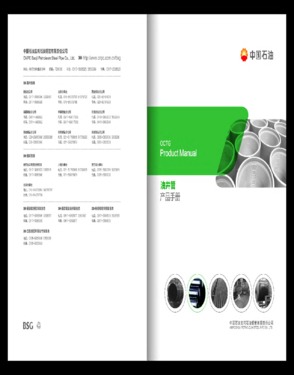 CNPC (Shanghai) BSW Petro-Pipe Co., Ltd.