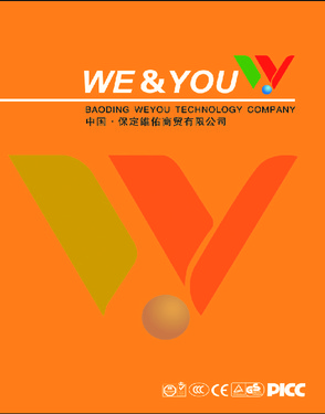 Baoding Weyou Technology Company