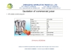 WF-A1000 Commercial fruit juicer
