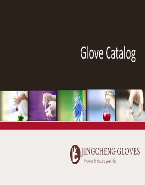 Disposable Vinyl Gloves CE Approved Powdered &amp; Powder Free