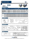 Induction AC Motor