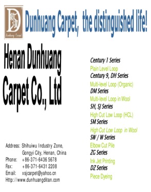 Henan Dunhuang Carpet Co., Ltd