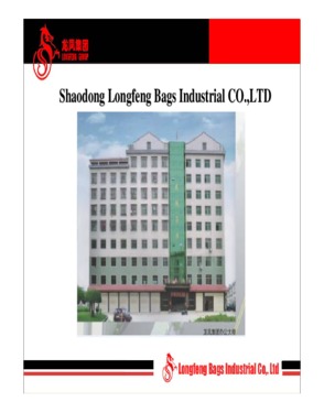 Shaodong County Longfeng Bags Industry CO., Ltd