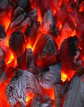 Coconut Shell Charcoal available.