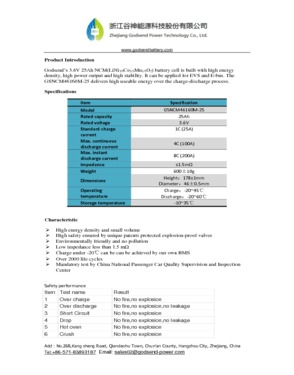 Lithium Battery Cell