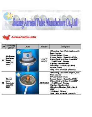 paint aerosol valve and actuator