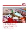 Crane factory Zhongyuan Shengqi Co.Ltd