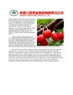 shaanxi sanlian fruit Co., Ltd