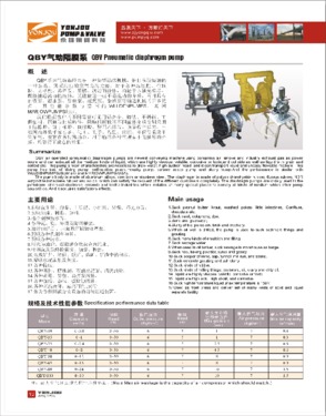 Diaphragm Pump