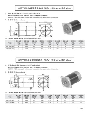 Brushed DC Motor