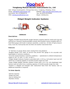 Midget Weight Indicator System