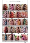 13ml SHiSEM Color Nail Polish for wholesale