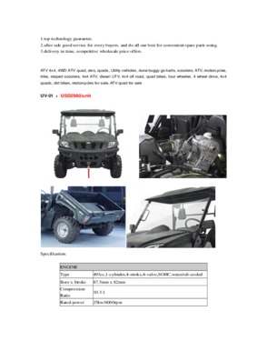 650cc diesel UTV UV-04A(L80)