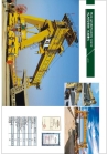 gantry crane (450-1200t) for lifting girder