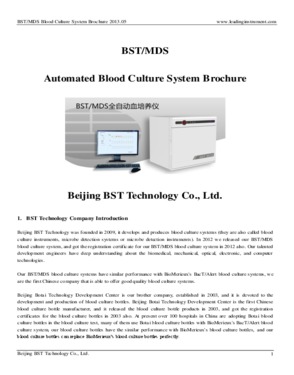 Beijing BST Technology