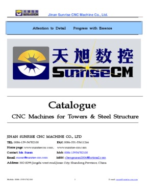 Heat Exchanger/Pressure Vessel CNC Drilling Machine for tube sheet