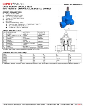 DUCTILE IRON RISING STEM GATE VALVE BOLTED BONNET