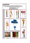 electric wire rope  hoist