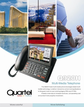 Multimedia Phone (Q920)