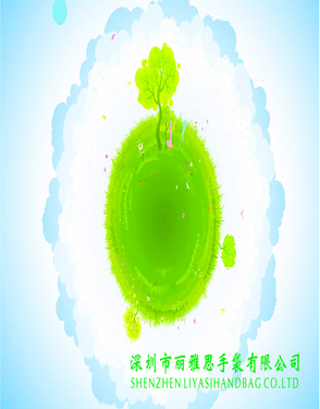 Shenzhen LiYasi Hand Bag Co., LTD.