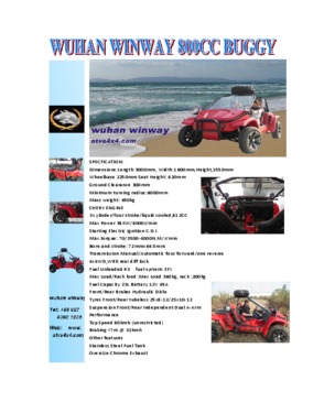 Winway Newest 800cc beach buggy 4x4