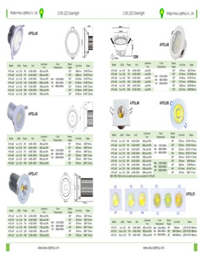 LED Downlights-COB