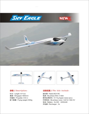 Remote Control glider -SKY EAGLE