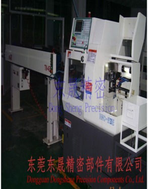 Dongguan Dongsheng Precision Components Co., Ltd.