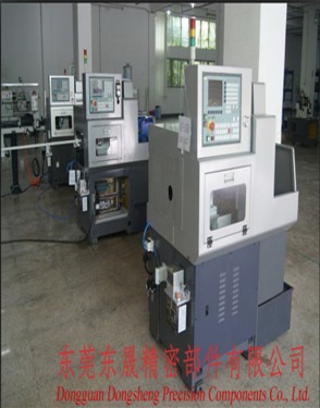 Dongguan Dongsheng Precision Components Co., Ltd.