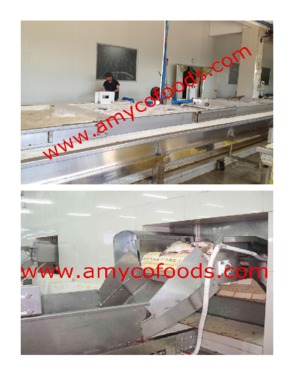 Frozen Tilapia Fillet CO Treated