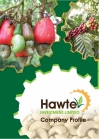Hawte Investiments (T)  Ltd