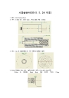 Custom Abutment(Sylblank-BLANK)