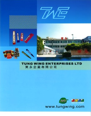 Tung Wing Enterprises Ltd.