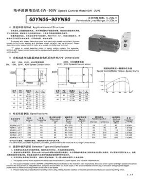 AC Induction Gear Motor