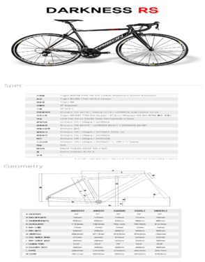 Bicycle - TRIGON DARKNESS RS ULTEGRA