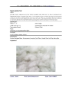 Polyester Staple Fiber