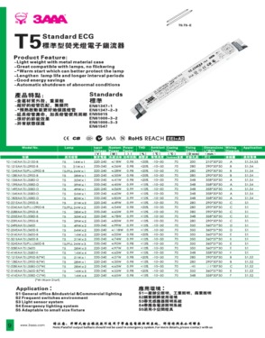 T5  Electronic ballast 14w/28w/35w/49w/54w/80w