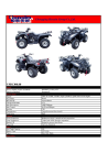 250cc untility ATV