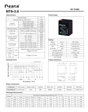 Dry Battery 6V-3.0Ah