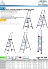 Smart Domestic Use Double side ladder LVD-HW-A series