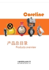 Jiangyin Double Feather Cable Co., ltd