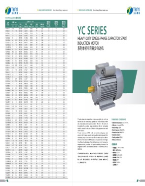 AC Motor(YC Series)