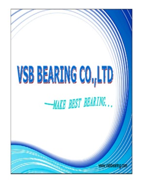 VSB BEARING CO., LTD