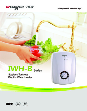 Tankless Electric water heater